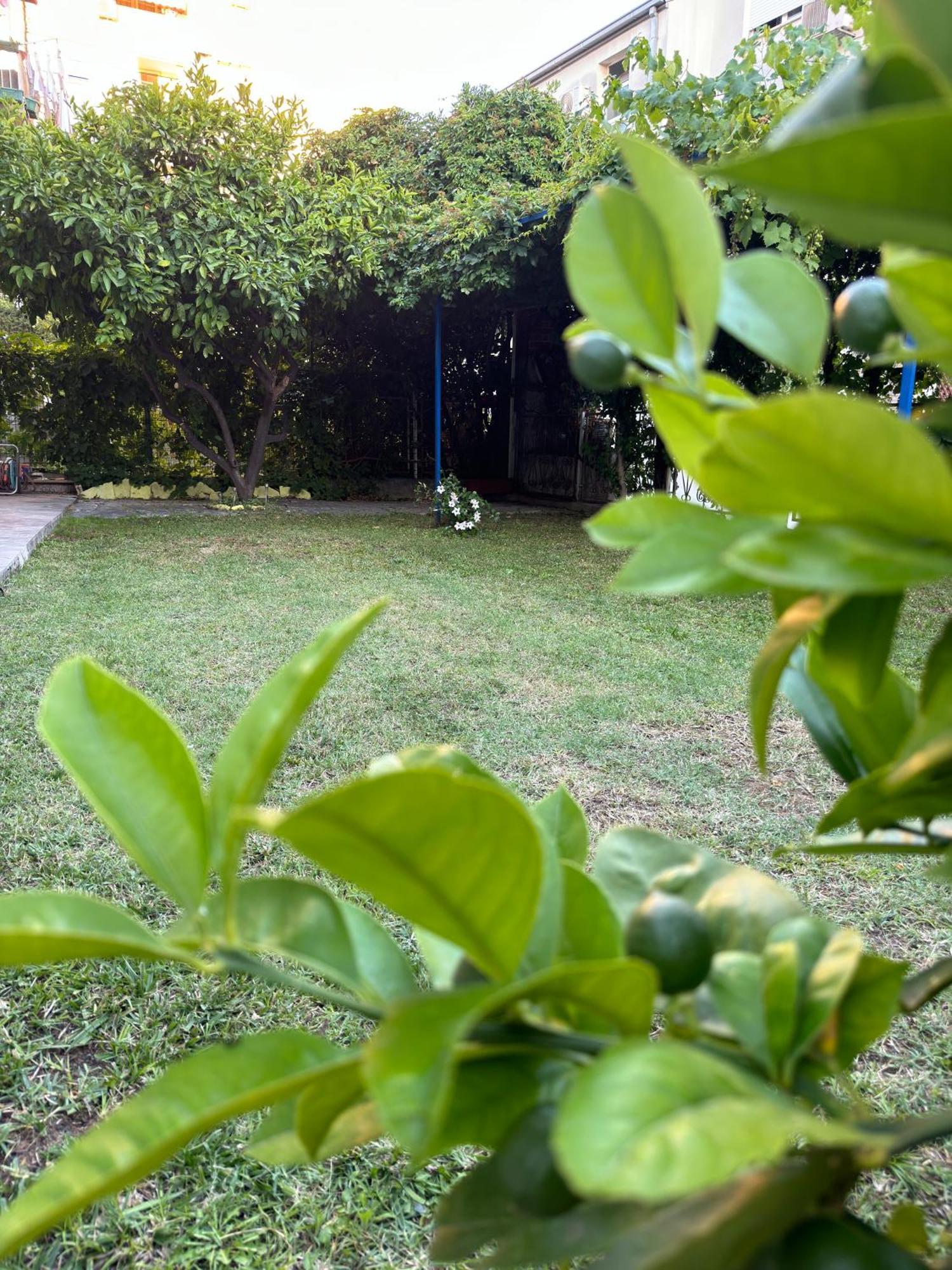 Valentinas Garden Leilighet Split Eksteriør bilde